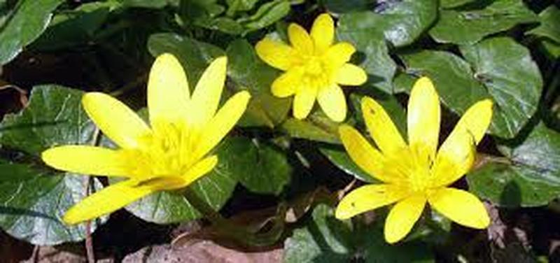 Illustration de l'actualité