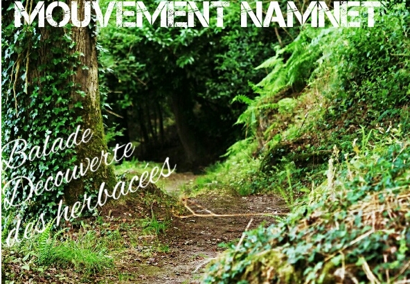 Illustration de l'actualité