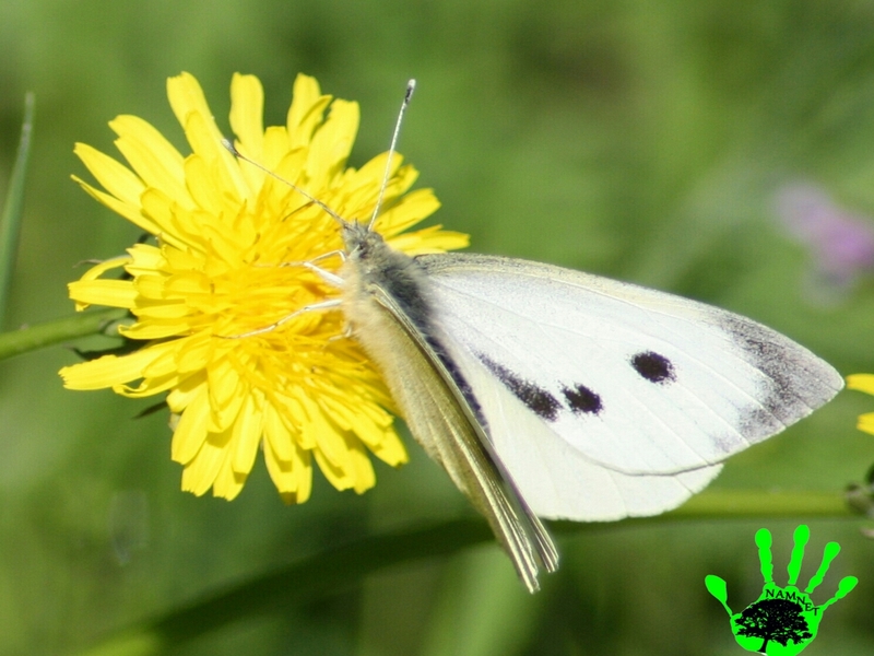 Illustration de l'actualité