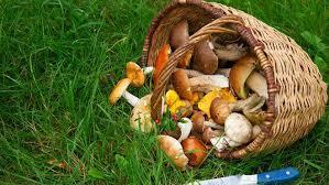 Illustration de l'actualité