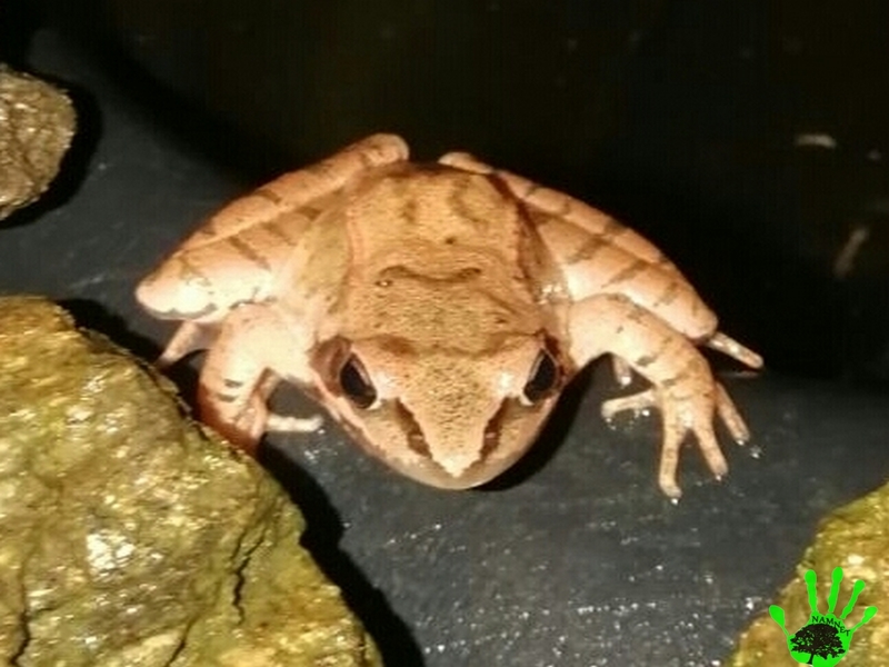 Illustration de l'actualité