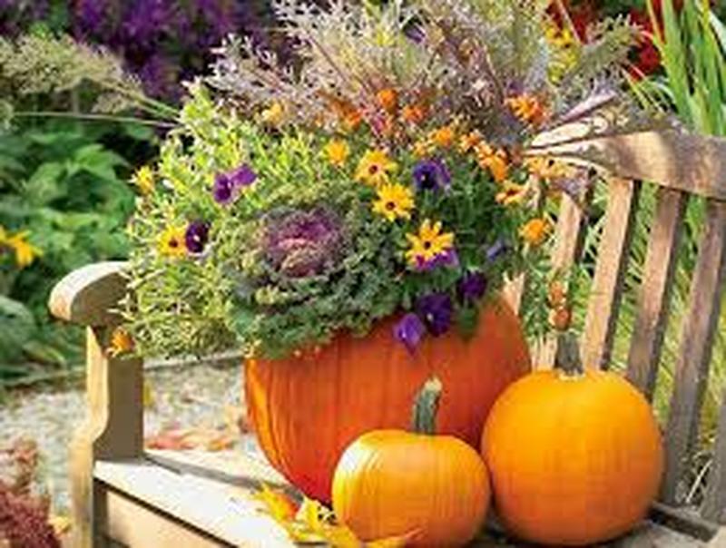 Illustration de l'actualité