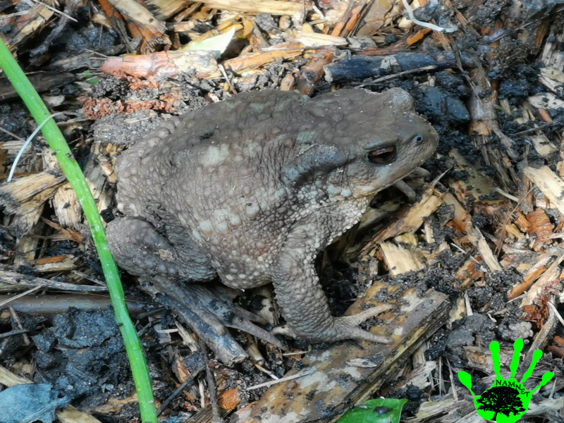 Illustration de l'actualité