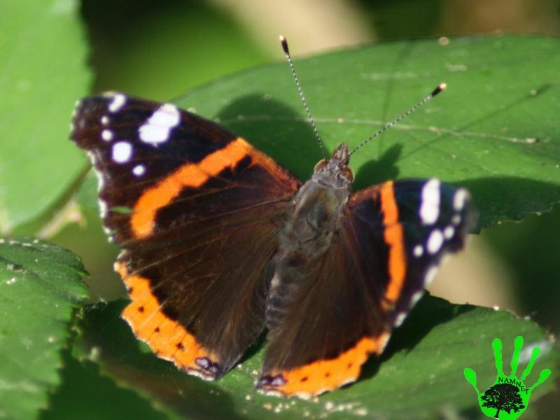 Illustration de l'actualité