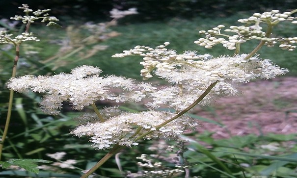 Illustration de l'actualité