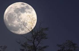 Illustration de l'actualité