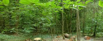 Illustration de l'actualité