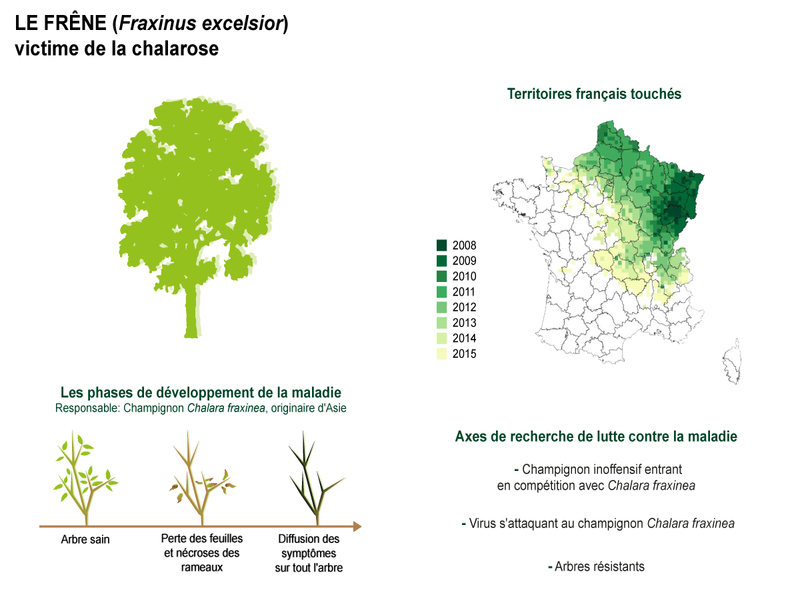 Illustration de l'actualité