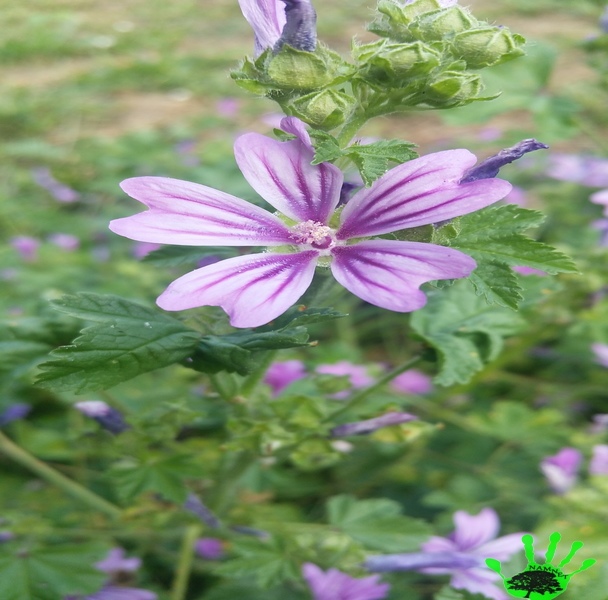 Illustration de l'actualité