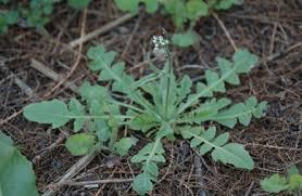 Illustration de l'actualité