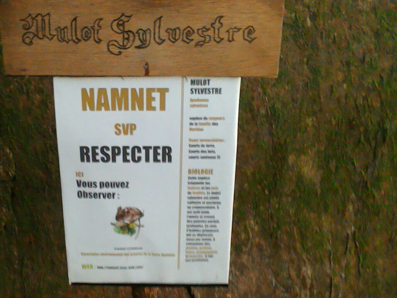 Illustration de l'actualité