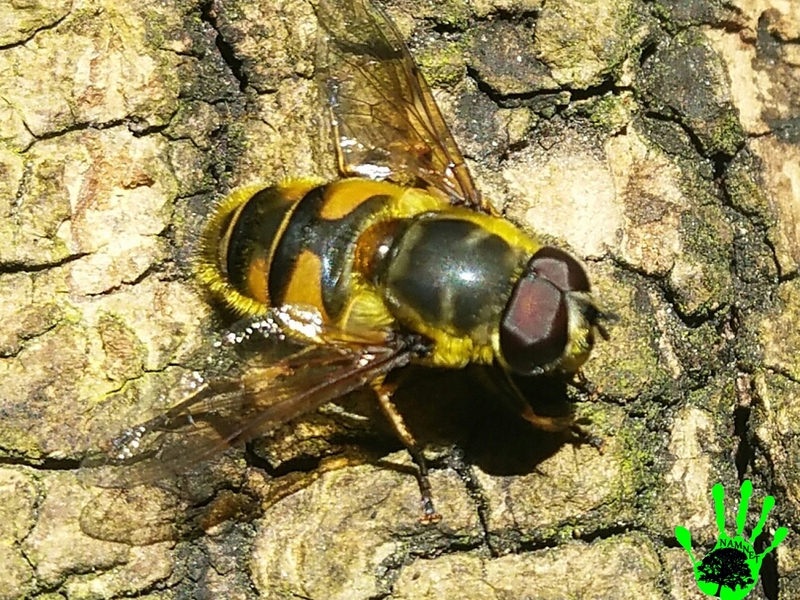 Illustration de l'actualité