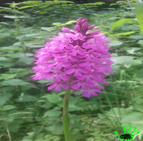 Illustration de l'actualité