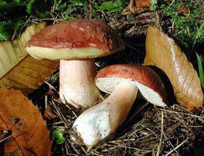 Illustration de l'actualité