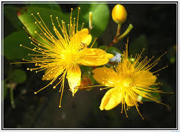 Illustration de l'actualité