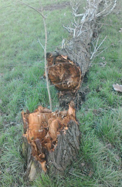 Illustration de l'actualité